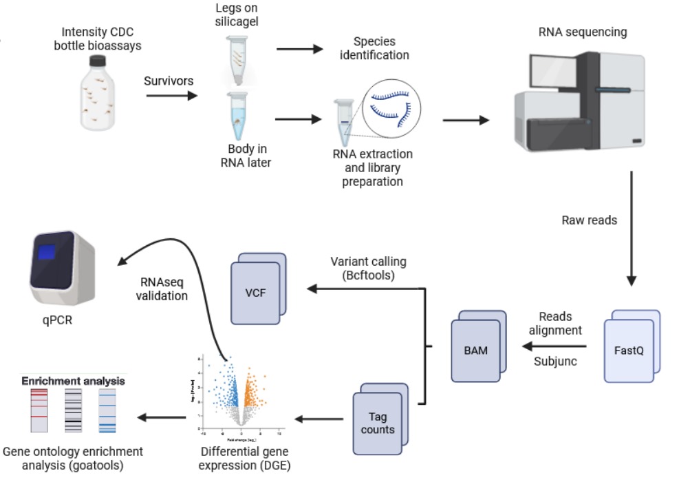 Bioinformatics Image 2