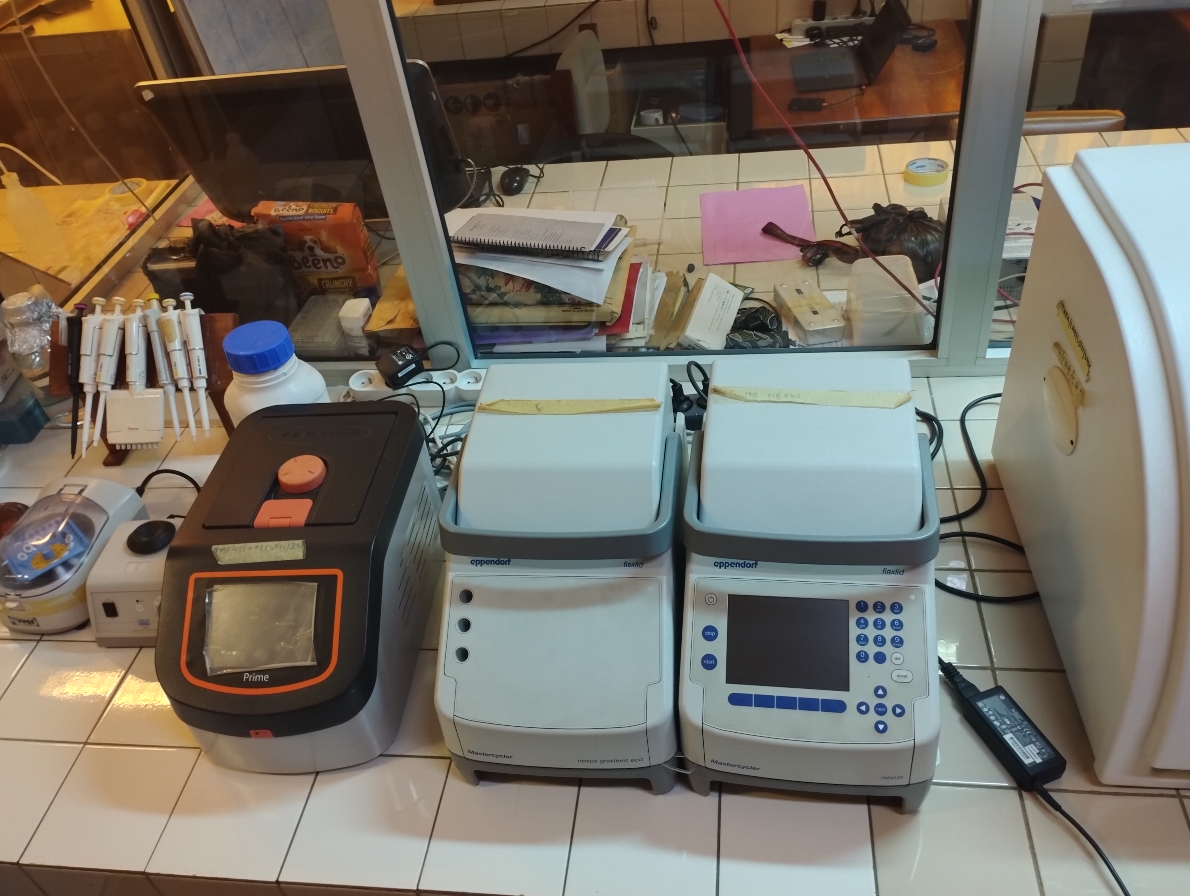 Biochemistry and Molecular Biology Image 2