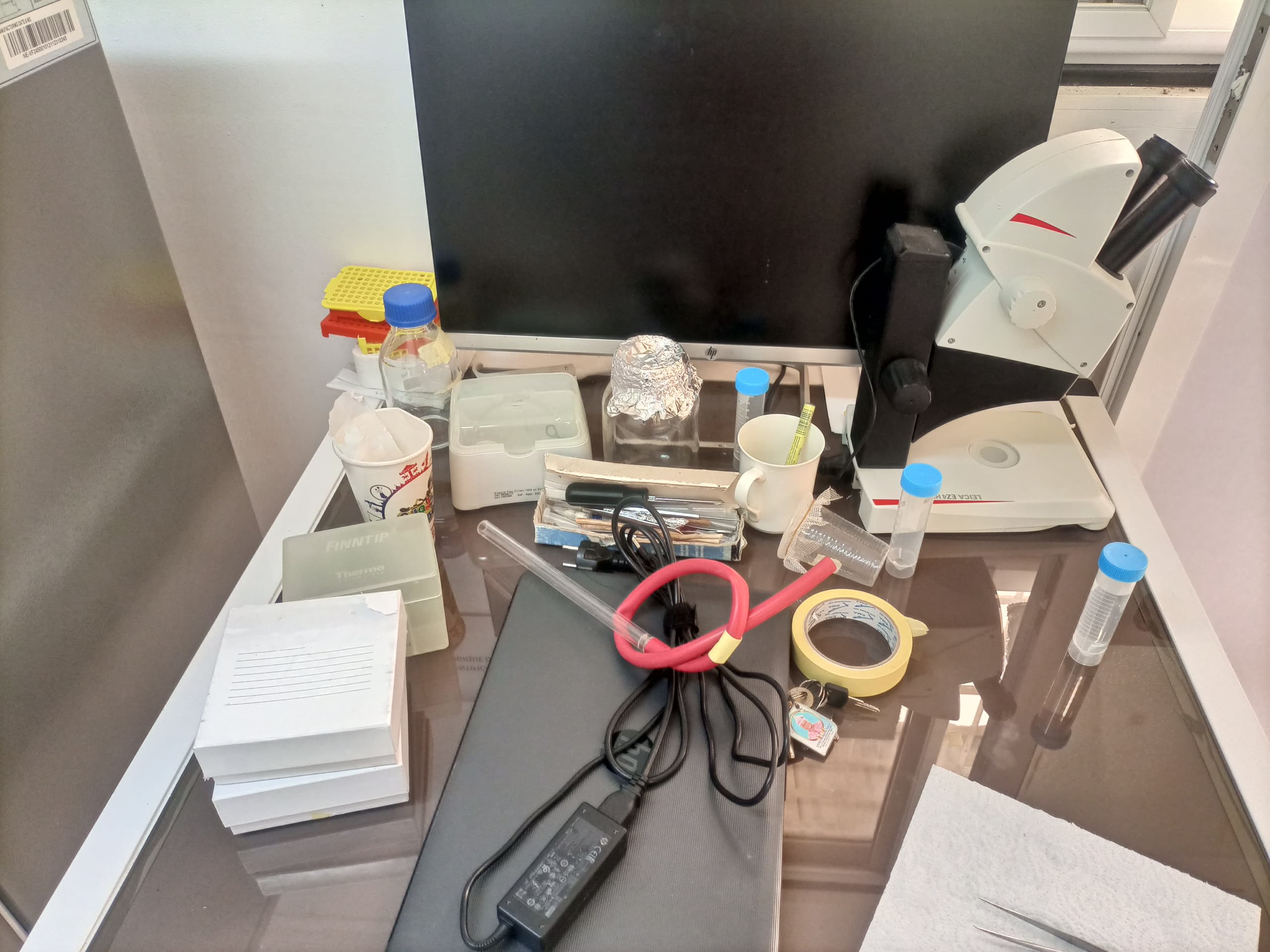 Experimental infections & Transmission inhibition tests Image 2