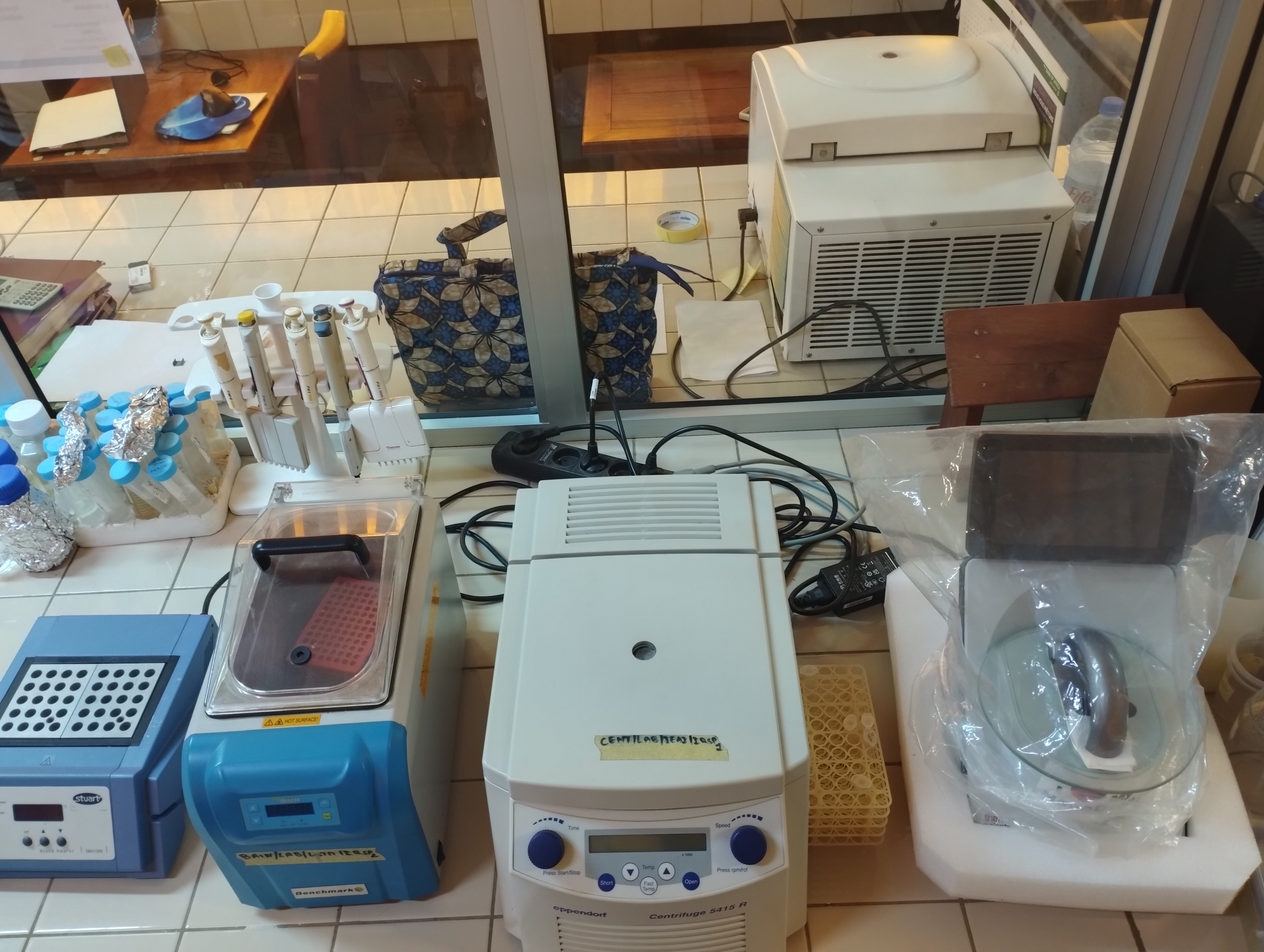 Molecular parasitology 1