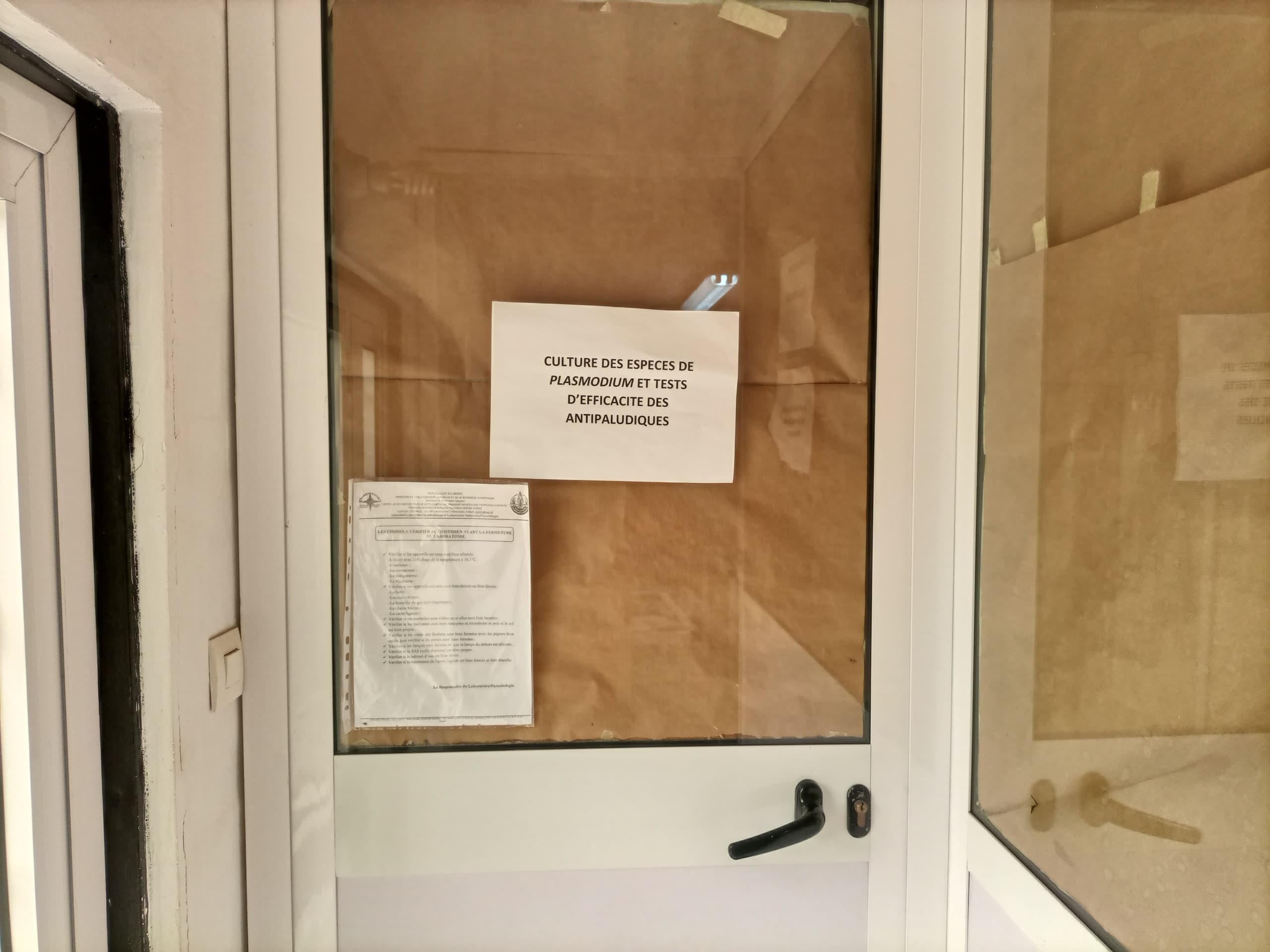 Plasmodium falciparum culture & Efficacy test